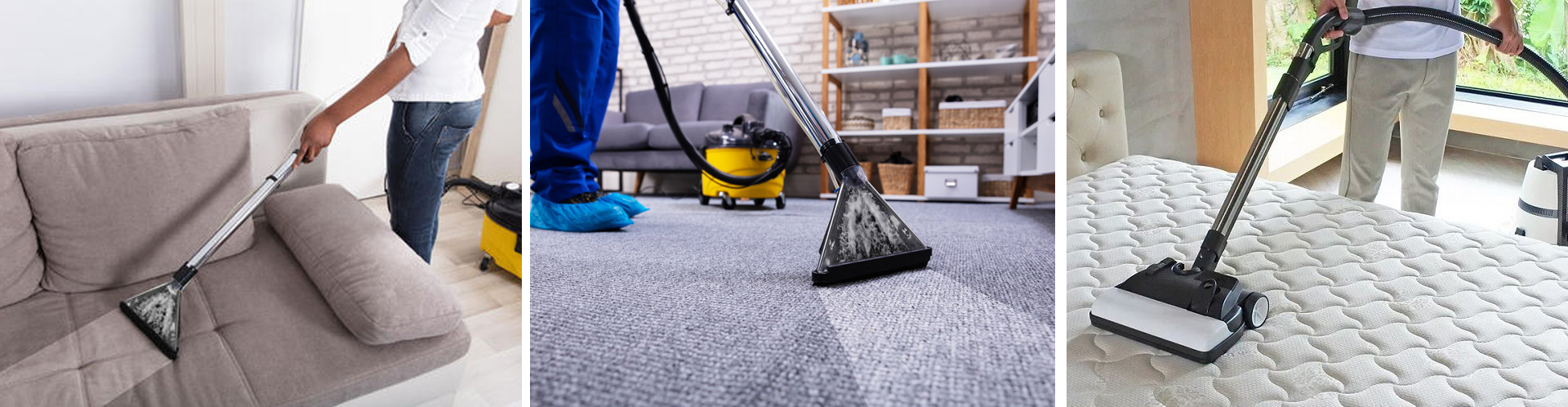 sofa and carpet cleaning